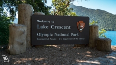 seattle_2022-olympic_np-13 seattle_2022-olympic_np-13