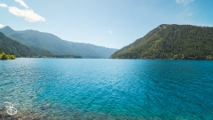 seattle_2022-olympic_np-14 seattle_2022-olympic_np-14