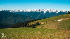 seattle_2022-olympic_np-2 seattle_2022-olympic_np-2