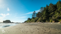 seattle_2022-olympic_np-29 seattle_2022-olympic_np-29