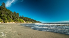 seattle_2022-olympic_np-30 seattle_2022-olympic_np-30