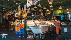 seattle_2022-seattle_dt-4