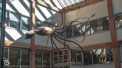 seattle_2022-seattle_dt-9