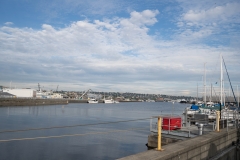 DSC01654