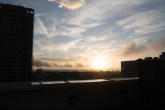 DSC01866 DSC01866