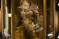 DSC01758