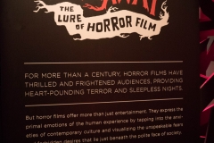 DSC01782