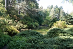 DSC01904
