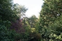 DSC01928