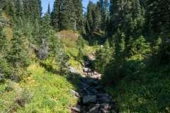 DSC01150