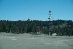 DSC01185