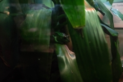 DSC01848