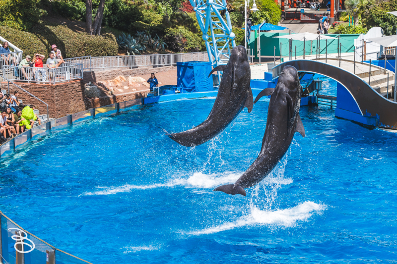 sd-seaworld-18