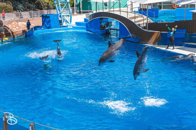 sd-seaworld-19