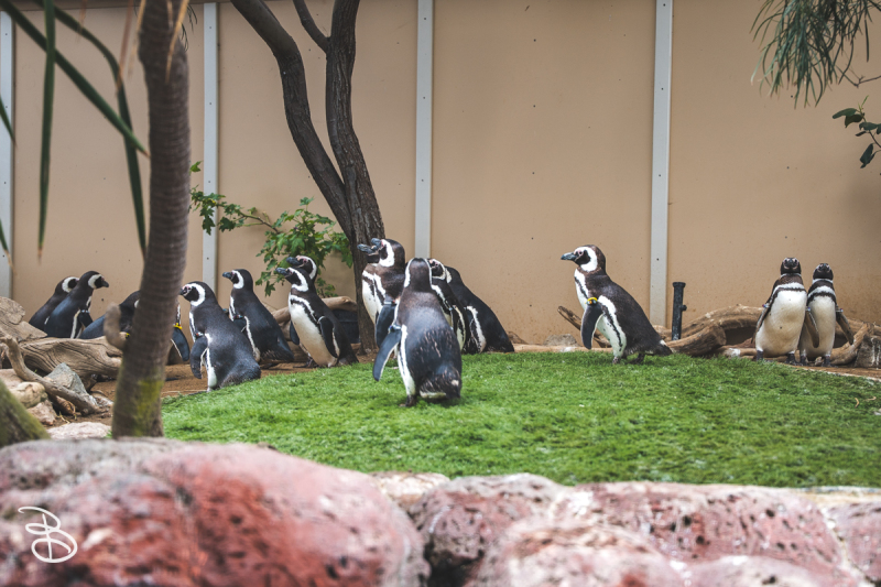 sd-seaworld-8