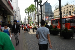 DSCN0294