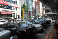 DSCN0306