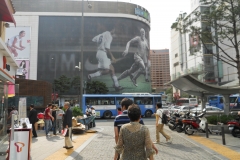 DSCN0333