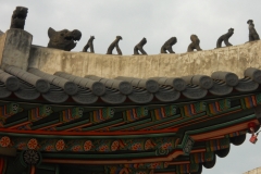 DSCN0378