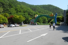 DSCN0464