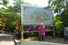 DSCN0465