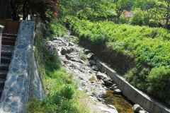 DSCN0469