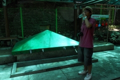 DSCN0479