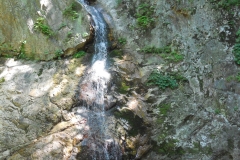 DSCN0483
