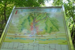 DSCN0486