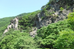 DSCN0487