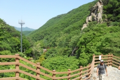 DSCN0489