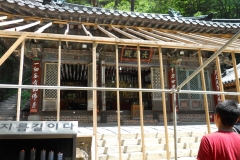 DSCN0494
