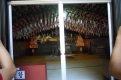 DSCN0497