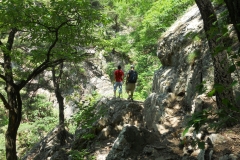 DSCN0502