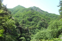 DSCN0506