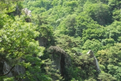 DSCN0507