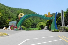 DSCN0509