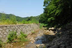 DSCN0524