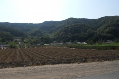 DSCN0529
