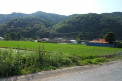 DSCN0530