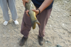 DSCN0542
