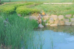 DSCN0551