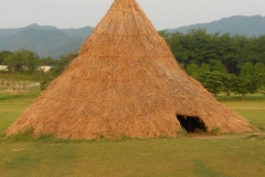 DSCN0553