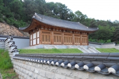 DSCN0563