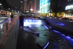 DSCN0677