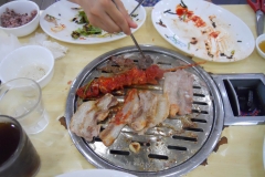 DSCN0715
