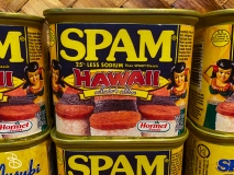 spam-museum-2022-14 spam-museum-2022-14