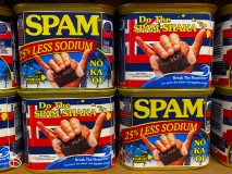 spam-museum-2022-15 spam-museum-2022-15