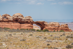 arches-2026-13