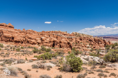 arches-2026-14